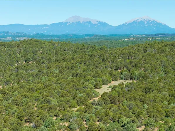 15536 Ponderosa Loop, Boncarbo, CO 81024