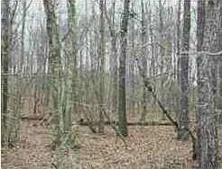 1st image of 1 Old Lead Mine Valley Rd SW