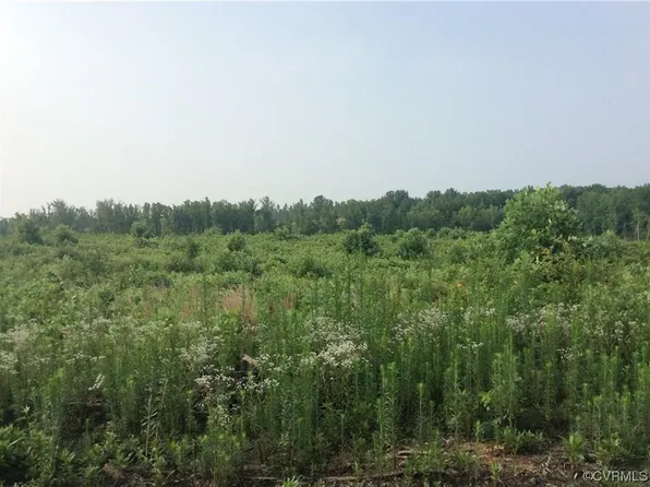 3 Broad Street Rd #3, Gum Spring, VA 23065