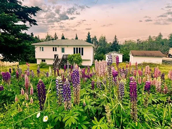 13 Otto's Road, Frederickton, NL A0G2C0