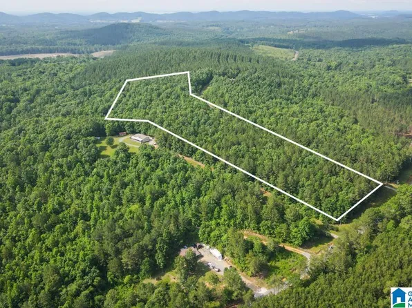 3501 County Road 58, Gaylesville, AL 35973