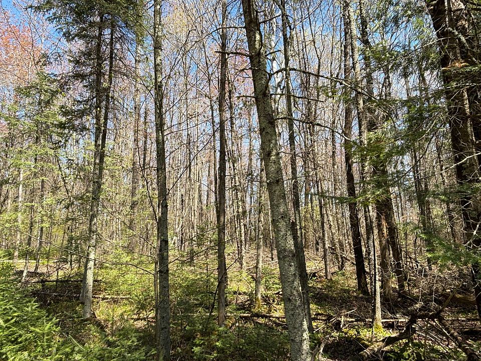 2nd image of 0 Vascheau Rd
