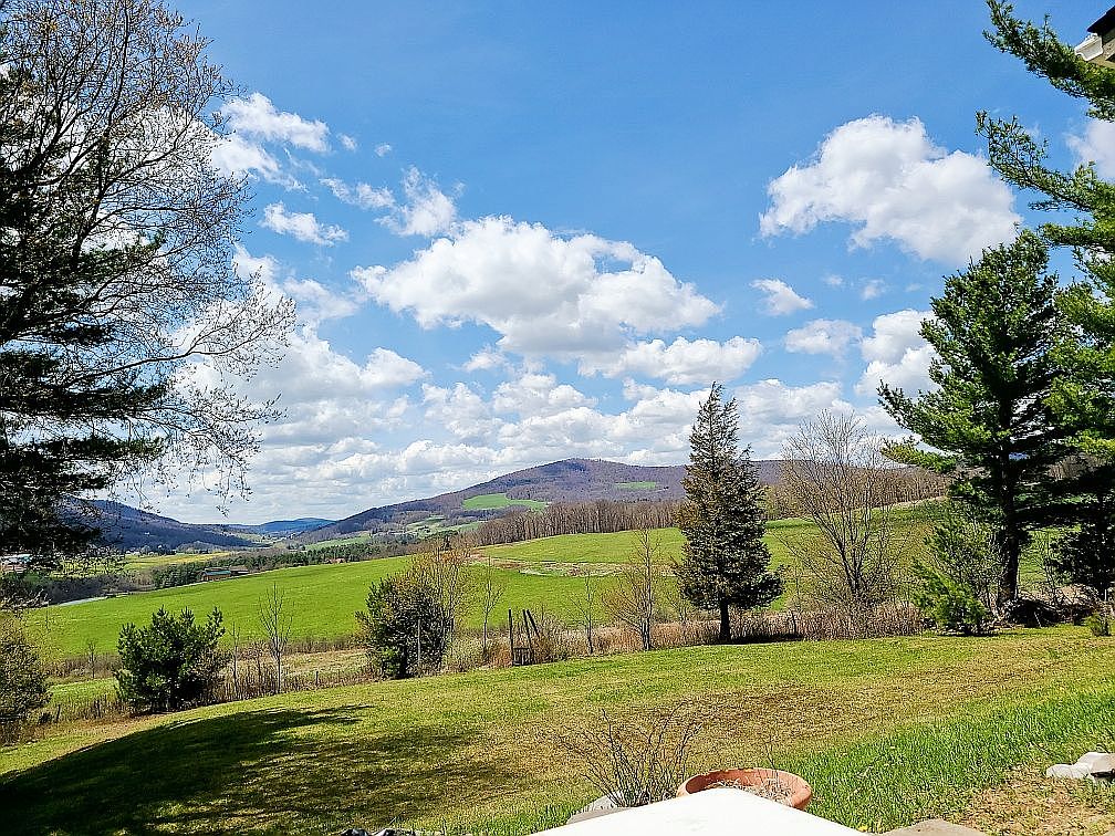 149 Hawk Hill Rd, Stamford, NY 12167 Zillow