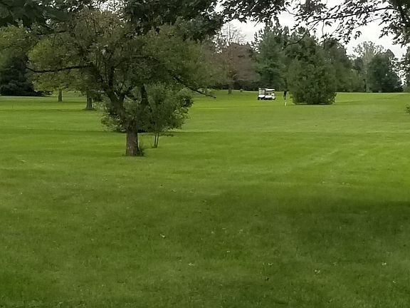 View of golf carts from the backyard