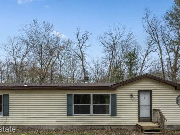 8958 Chippewa Trl, Howard City, MI 49329