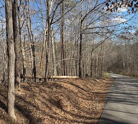 2nd image of LOT 1 Gap Bridge Rd