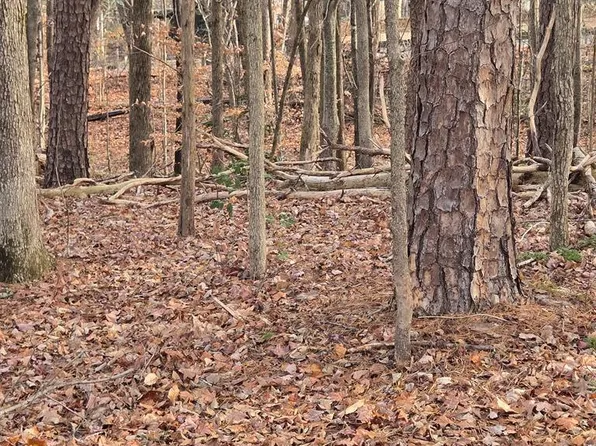 1.79 College Park Dr, Danville, VA 24541