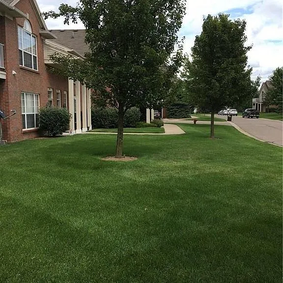 17208 Chesapeake Cir — Photo 4