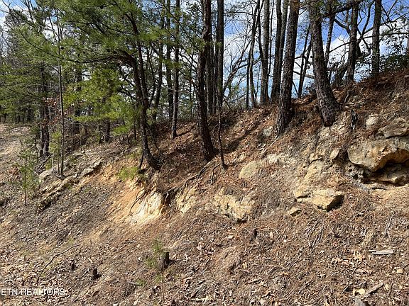 3rd image of 0 Chestnut Ridge Ct Lot 10-11