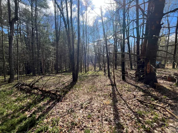 209 Caswell Rd #A, Dickinson Center, NY 12930
