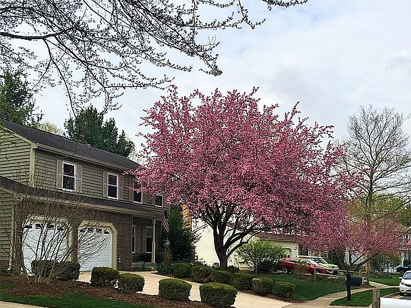 2nd image of 12811 New Parkland Dr