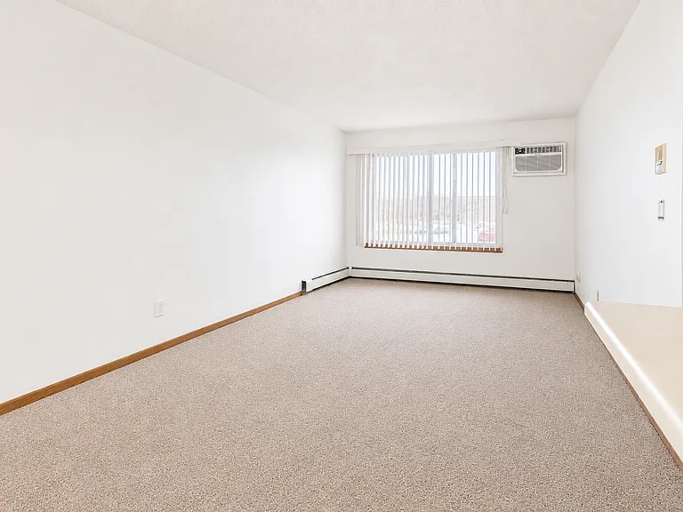 1011 5th Ave S #303 — Photo 7
