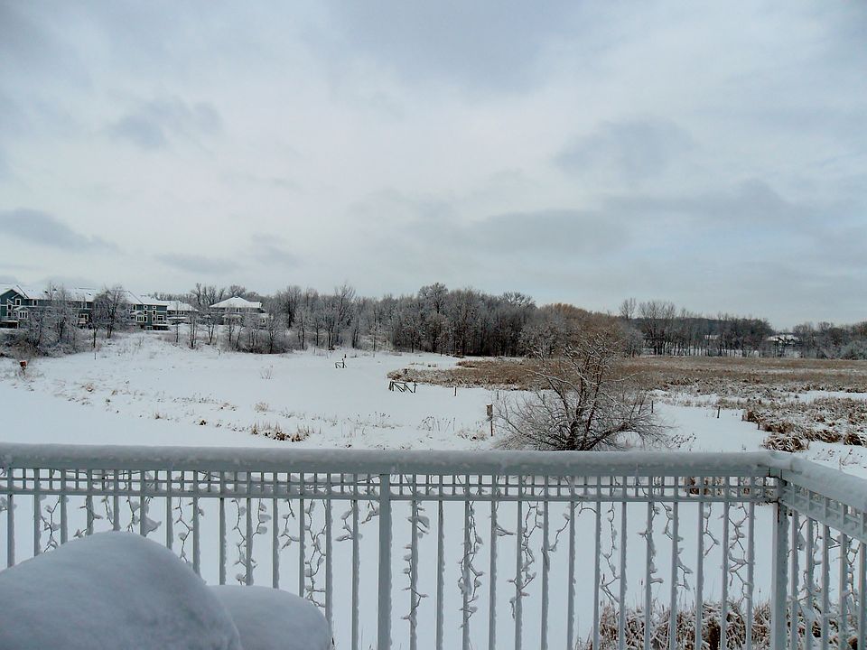 View from deck - winter