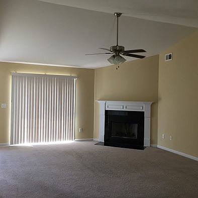 Wood burning fireplace 