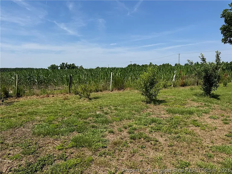 2737 Ward Store Rd — Photo 40