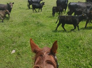 Nhn Farm View Ln, Florence, MT 59833