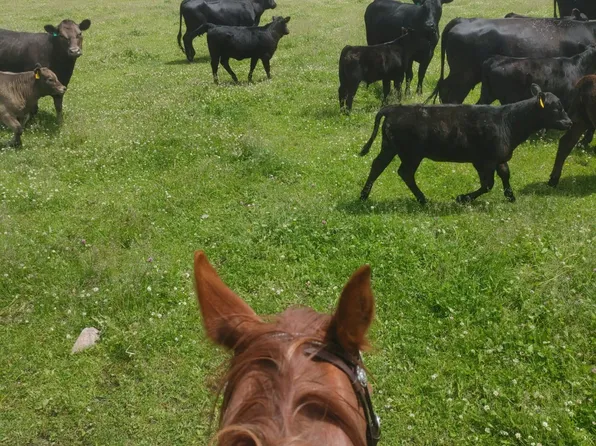 Nhn Farm View Ln, Florence, MT 59833