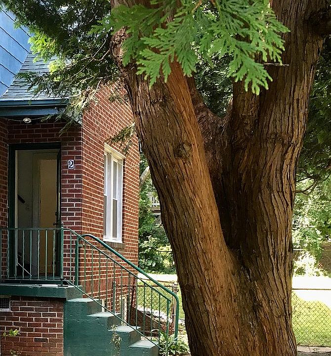 Separate entrance facing Greenwood Ave .