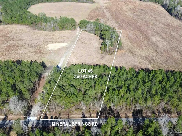 LOT 45 Mineral Springs Rd, Jay, FL 32565