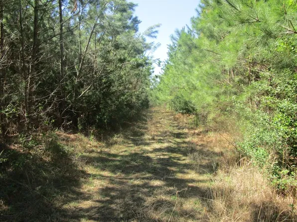 Shining Creek Rd, Brodnax, VA 23920