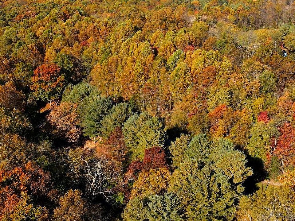 1st image of Buildable Preserv Oaks Parcel 10