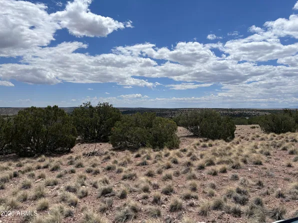 71 Gila Drive #1, Concho, AZ 85924