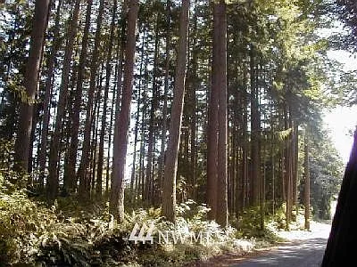 0 XXX Neely Road photo 1