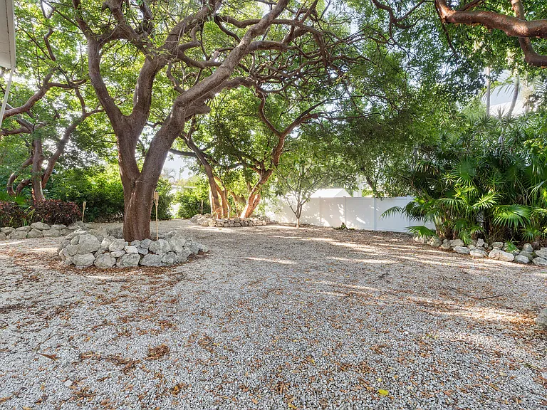 Bougainvillea St — Photo 88