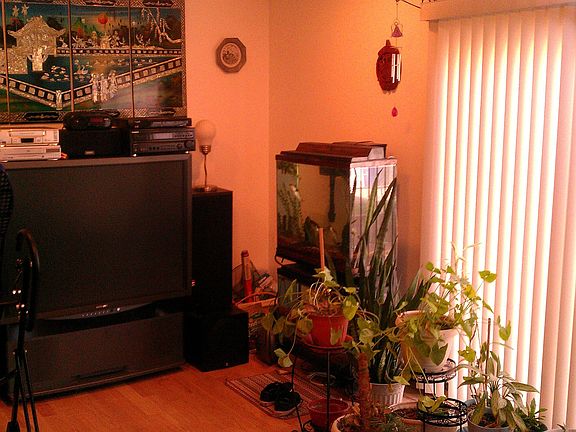 Family Room 3