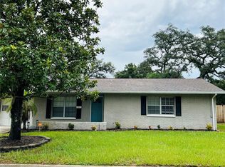 703 Chadsworth Ave, Seffner, FL 33584