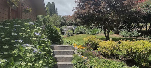 Ashley Dr — Photo 20