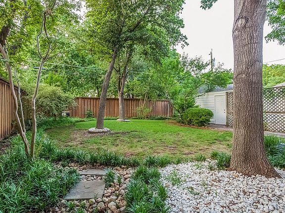 Back Yard #2