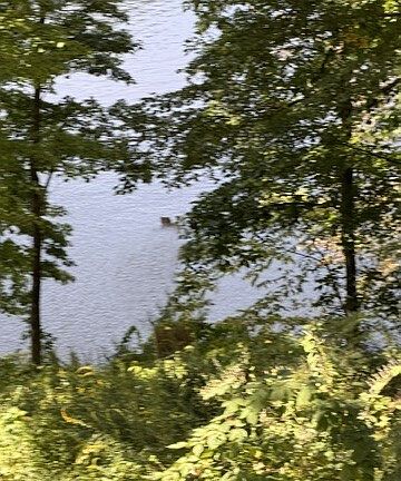 3rd image of 120 Lower Fish Rock Road