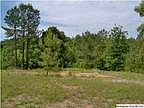 Residential Lots & Land