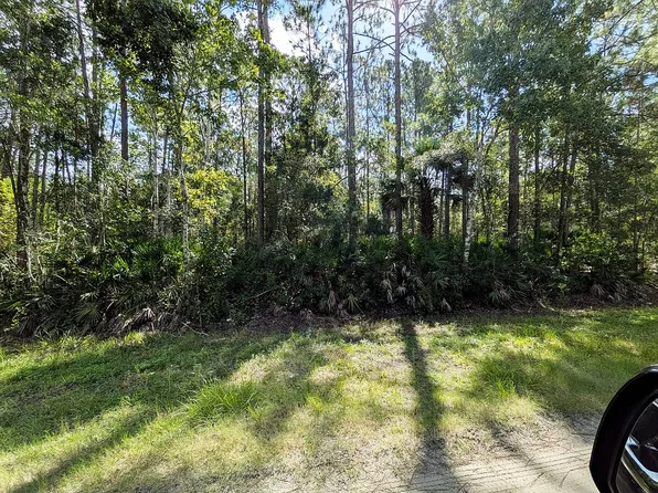 2769 Redwood St, Bunnell, FL 32110