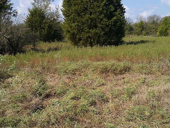 5th image of Lot 332-332a Pr6902. Near County Road 2507 #333-333A
