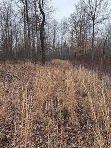 0 Old State Highway 13, Hurricane Mills, TN, 37078