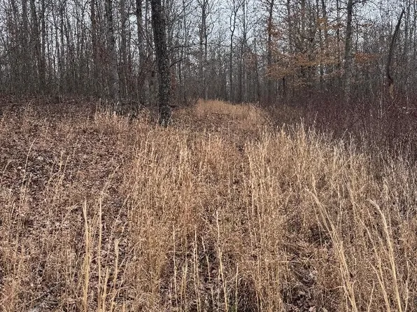 0 Old State Highway 13, Hurricane Mills, TN 37078