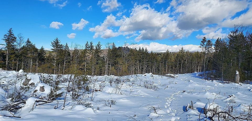 1st image of 620 State Highway 104