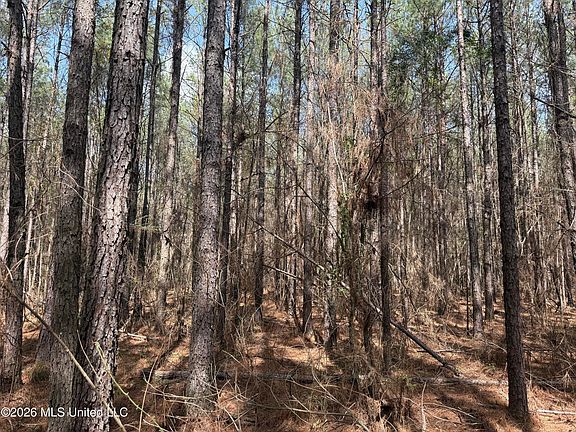 4th image of 0 Alfred Agee Rd