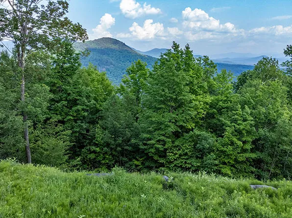 0 Panorama Dr Lot 15/16, Saranac Lake, NY 12983