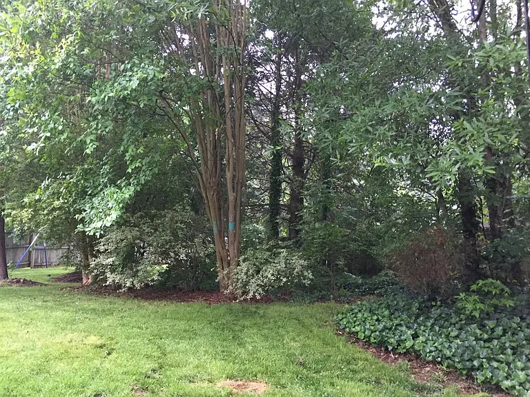 Backyard 2 (Left center)