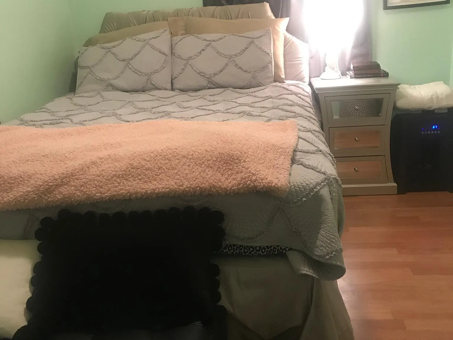 1 bed, 450 sqft, $650 — Photo 3