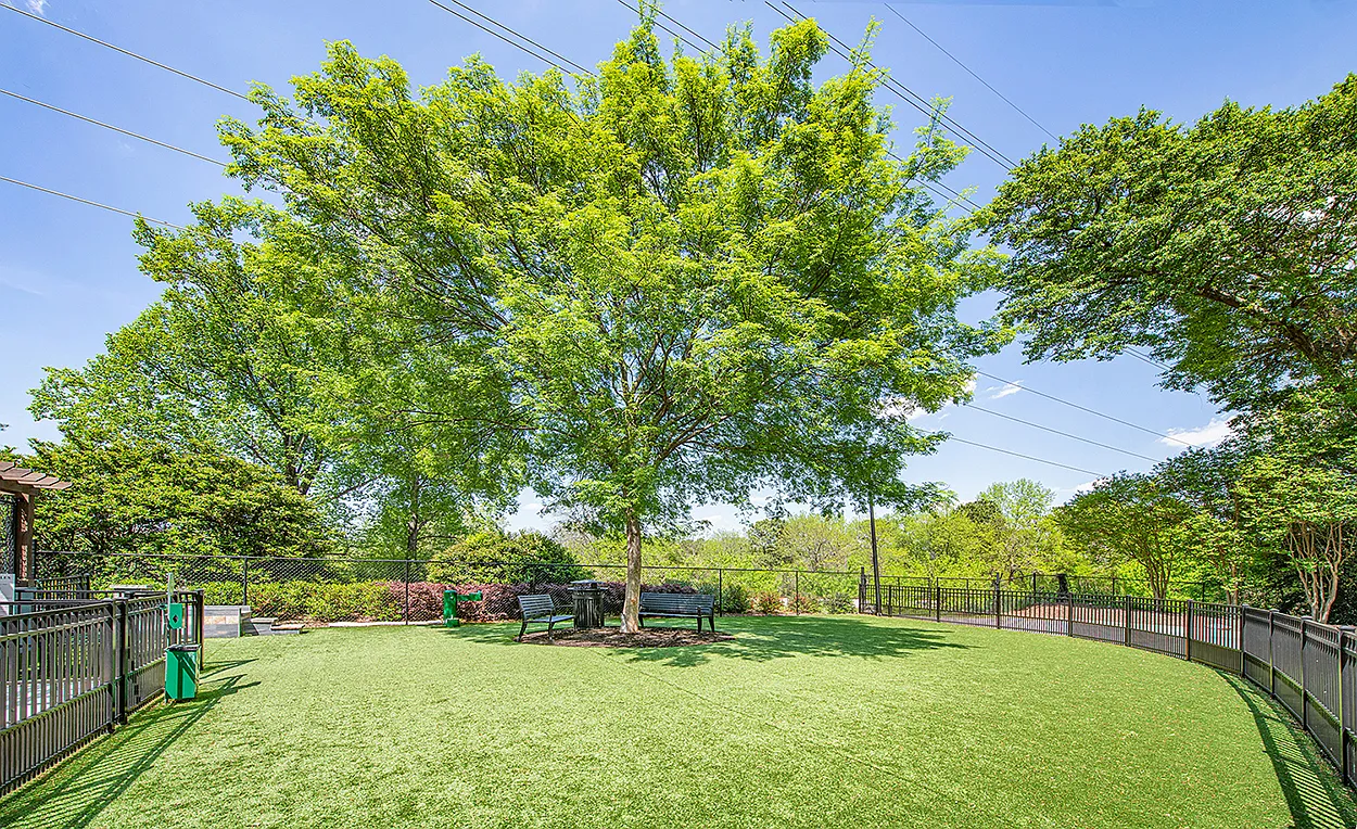 MAA Brookwood — Photo 4