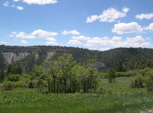 2495 Green Meadows Ln, Placerville, CO 81430