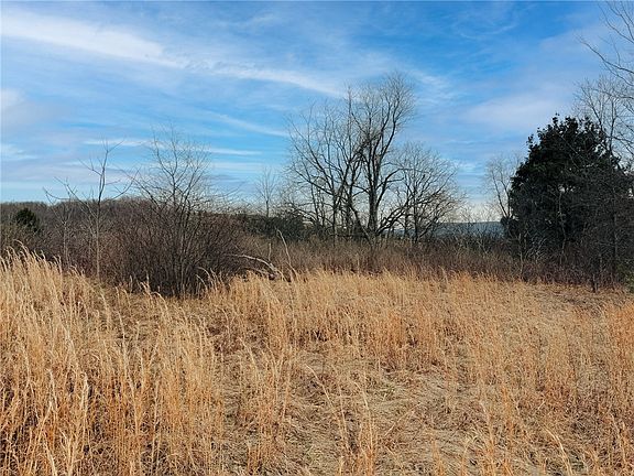 3rd image of County Line Rd