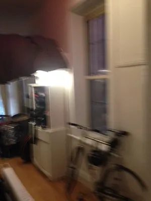 Rented by East Village Rentals and Sales | media 10