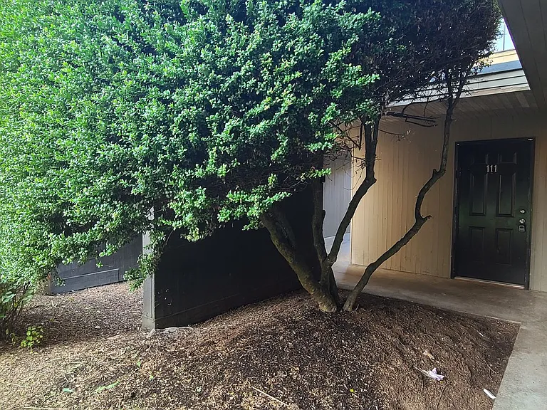 Timberline Apartments — Photo 14