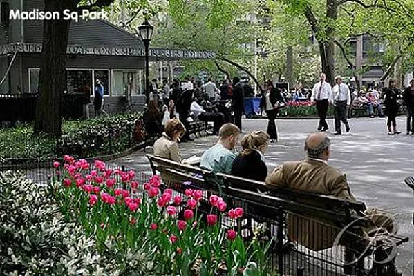 Rented by Bellmarc Realty | media 18