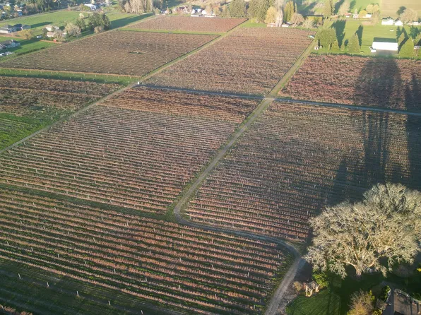 44641 SW Plumlee Rd, Forest Grove, OR 97116